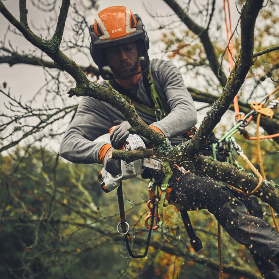 Performance Plus MS | Scie élagage à batterie Stihl GTA 40 | Entretien des arbres et des arbustes