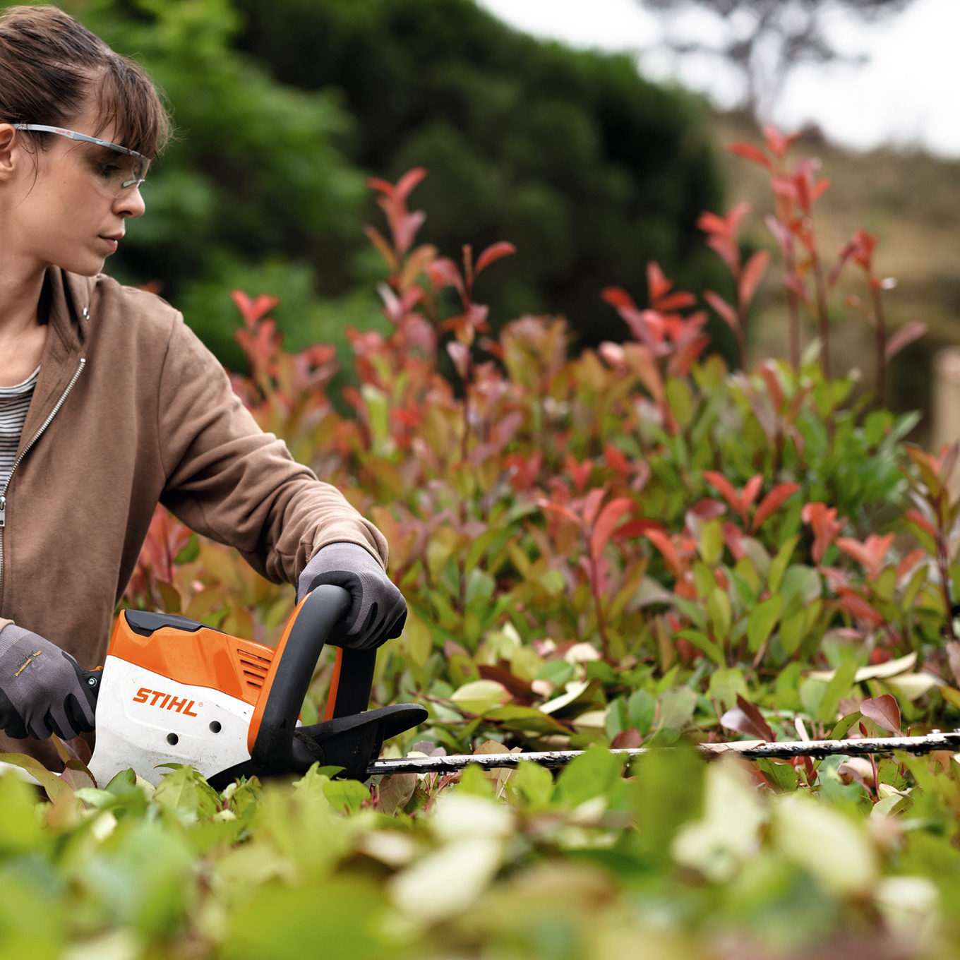 Performance Plus MS | Taille-haie à batterie STIHL HSA 50 | utilisation pour entretenir une haie