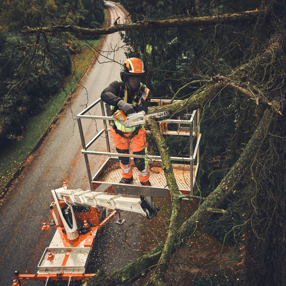 Performance Plus MS | Scie à chaîne STIHL MSA 190 T à batterie | en action d'une plateforme