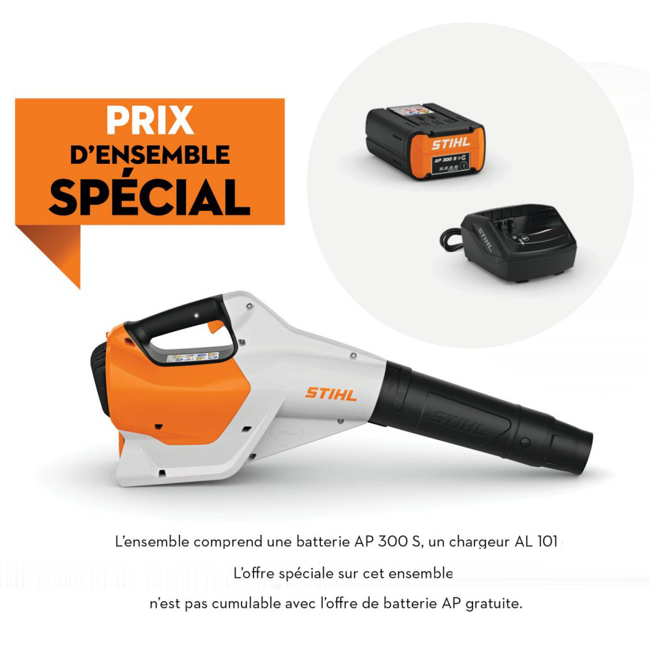 Performance Plus MS | souffleur à feuille à batterie BGA 160 | promotion