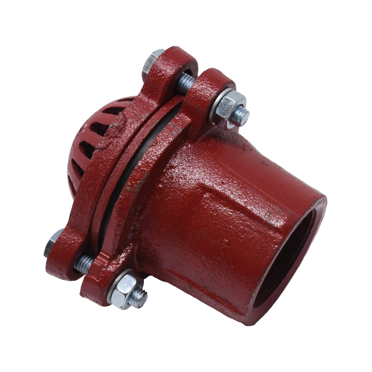 Performance Plus MS | Clapet de pied (Foot Valve) 2" en fonte