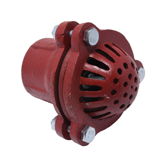 Performance Plus MS | Clapet de pied (Foot Valve) 2", robuste de qualité professionnelle
