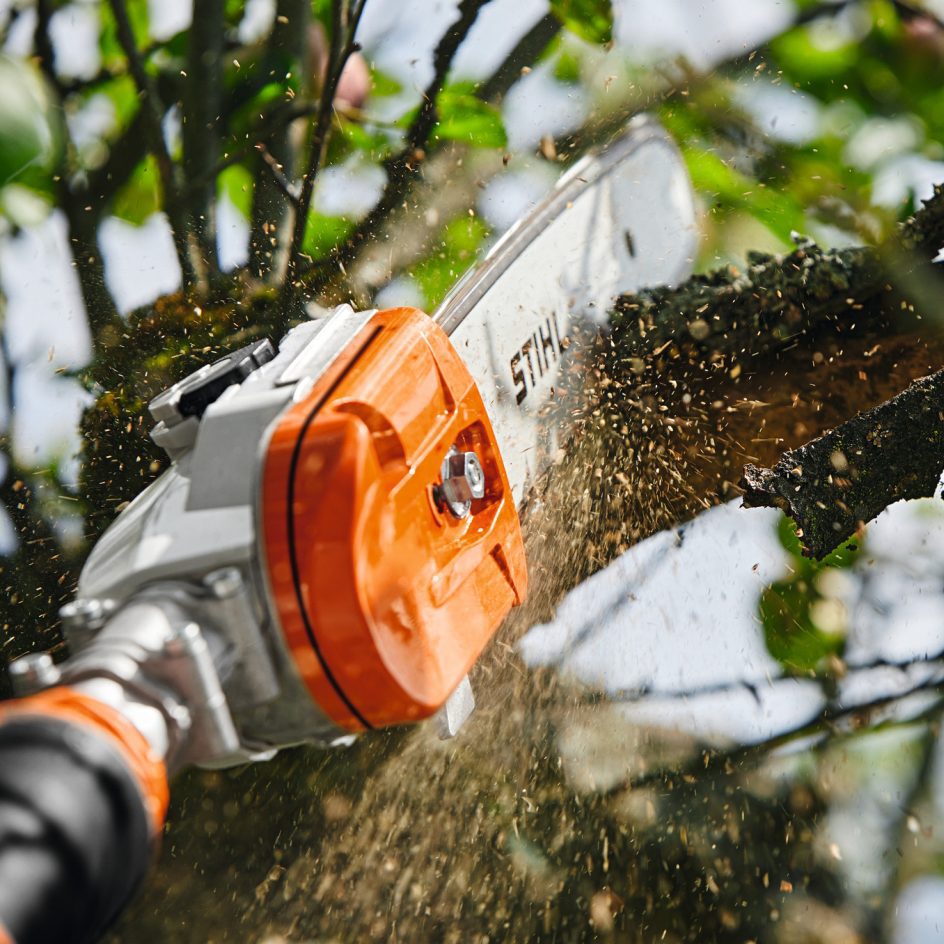 Performance Plus MS | Élagueuse sur perche STIHL HTA 135 à batterie | scie de la perche en action