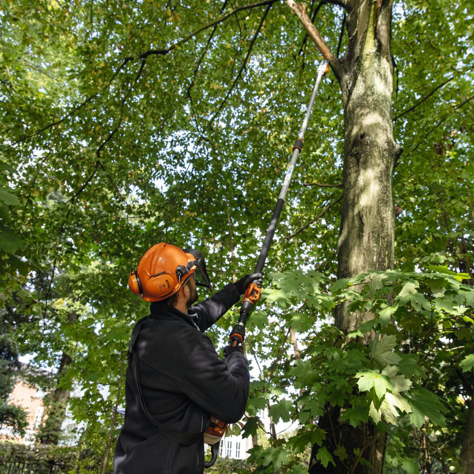 Performance Plus MS | Élagueuse sur perche STIHL HTA 135 à batterie | Entretien professionnel des arbres en action