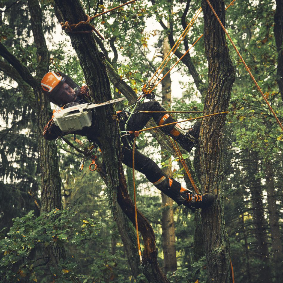 Performance Plus MS | Scie à chaîne STIHL MSA 190 T à batterie |  en action