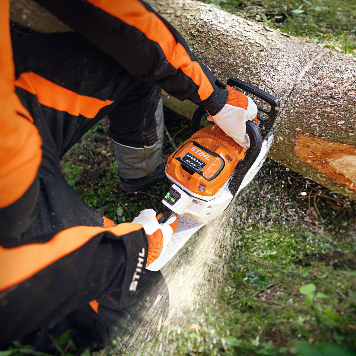 Performance Plus MS | Scie à batterie STIHL MSA 300 utilisée pour la coupe du bois