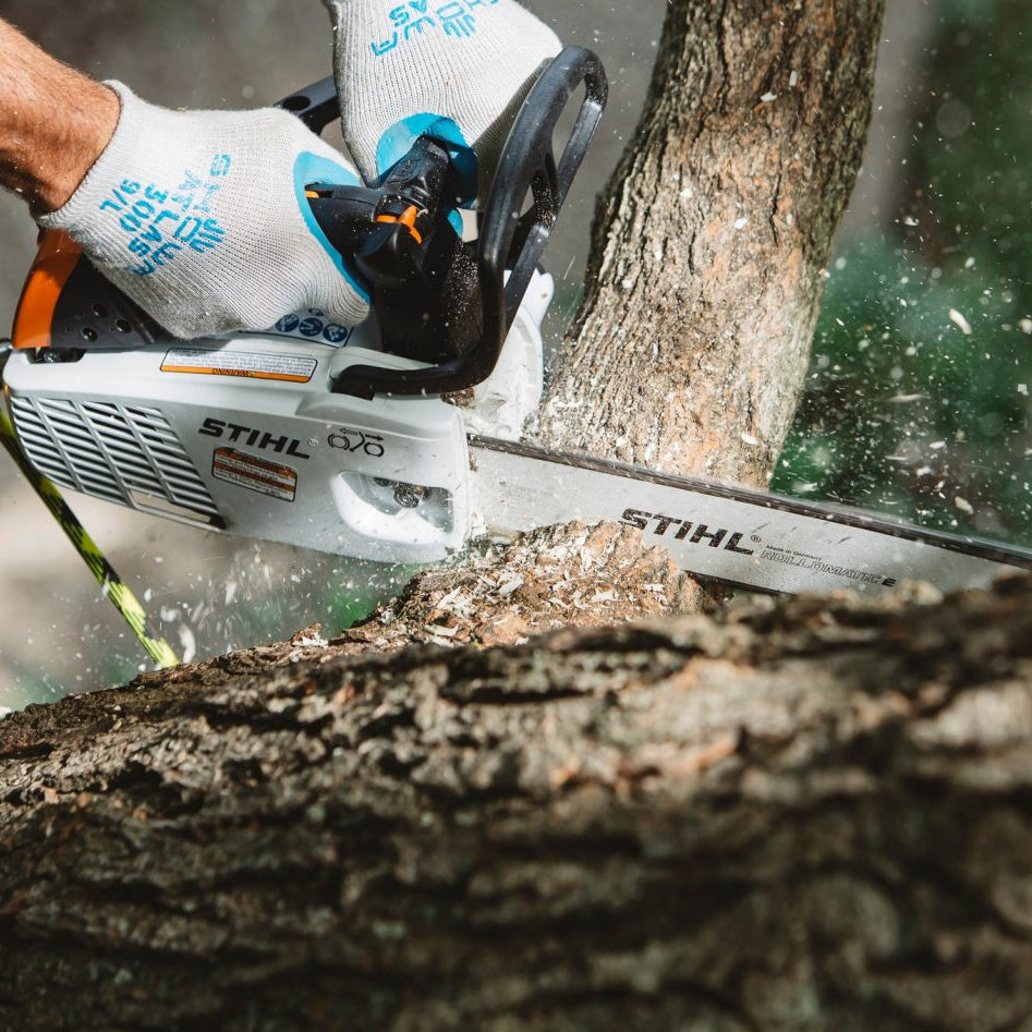 Performance Plus MS | Scie STIHL MS 194 T en action