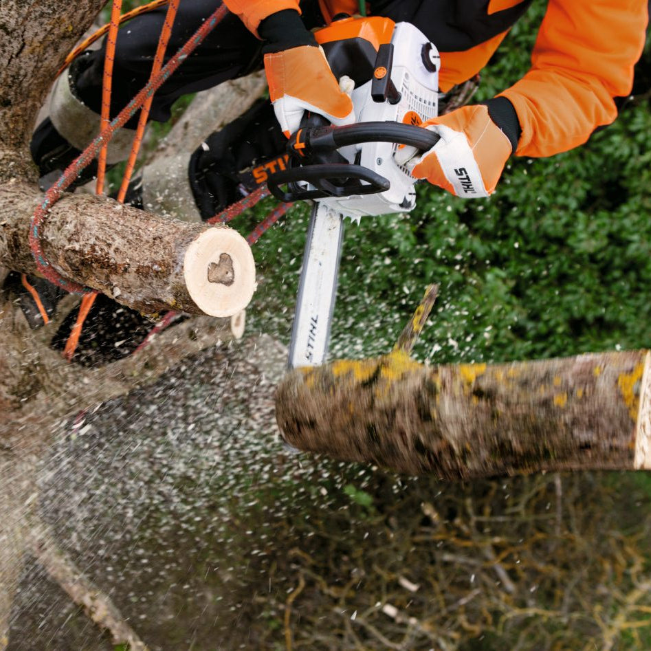 Performance Plus MS | Scie STIHL MS 201 T C-M – maniabilité en travail en hauteur